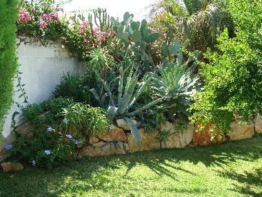 Villa in Denia (Valencia / Val�ncia) or holiday homes and vacation rentals