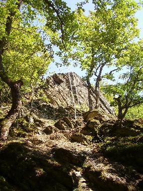Holiday Apartment in Burgen (Mosel - Saar) or holiday homes and vacation rentals