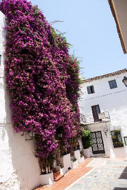 Holiday Apartment in Marbella (M�laga) or holiday homes and vacation rentals