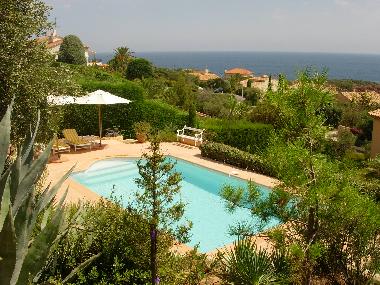 Holiday Apartment in Antheor (Var) or holiday homes and vacation rentals