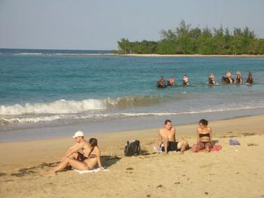 Flavours Beach