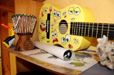 Holiday House in Saint Barth�lemy (Landes) or holiday homes and vacation rentals