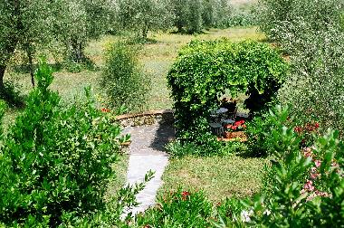 Holiday House in Bivio Ravi (Grosseto) or holiday homes and vacation rentals