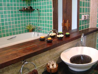 Master Bathroom 1