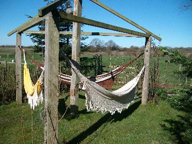 Hammock Oasis at south end of garden