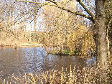 Trout fishing pond Lehmsiek