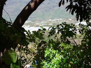 Holiday House in Los Llanos (La Palma und El Hierro) or holiday homes and vacation rentals