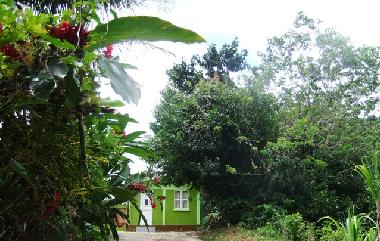 Bed and Breakfast in Marigot (Saint Andrew) or holiday homes and vacation rentals