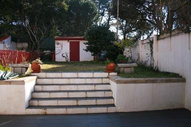 backyard/garden