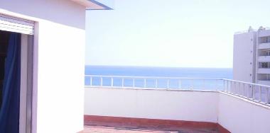 Holiday Apartment in Praia da rocha (Algarve) or holiday homes and vacation rentals