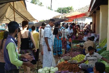 Villa in Rekawa (Matara) or holiday homes and vacation rentals