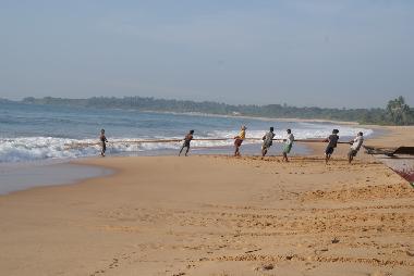 Villa in Rekawa (Matara) or holiday homes and vacation rentals