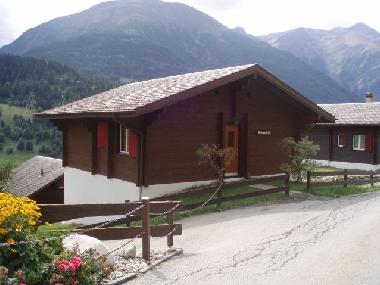 Chalet in Fiesch (Aletsch) or holiday homes and vacation rentals