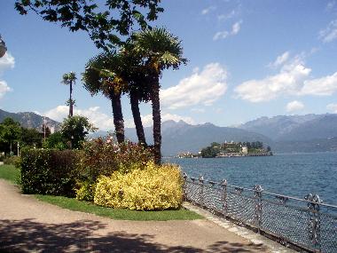 Chalet in Fiesch (Aletsch) or holiday homes and vacation rentals