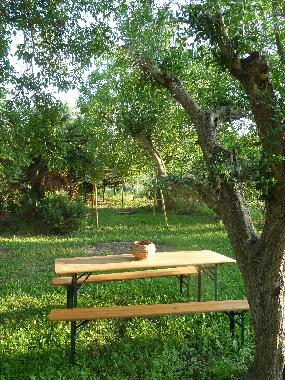 Bed and Breakfast in Offida (Ascoli Piceno) or holiday homes and vacation rentals