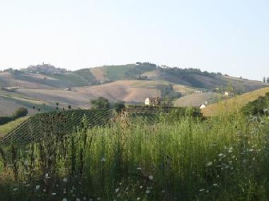 Bed and Breakfast in Offida (Ascoli Piceno) or holiday homes and vacation rentals