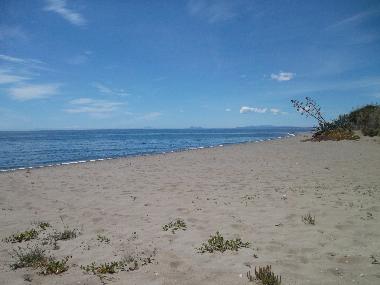 Holiday Apartment in Estepona (Mlaga) or holiday homes and vacation rentals