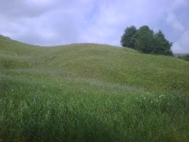 Holiday House in Bisoca (Buzau) or holiday homes and vacation rentals