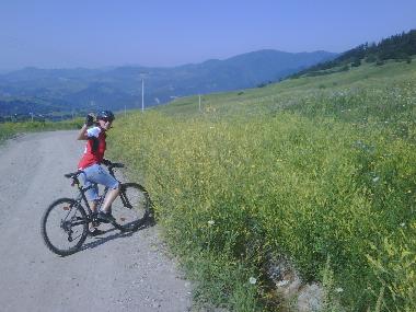 Holiday House in Bisoca (Buzau) or holiday homes and vacation rentals