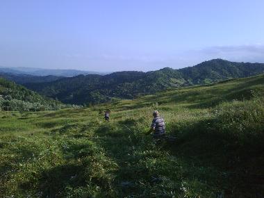 Holiday House in Bisoca (Buzau) or holiday homes and vacation rentals