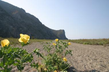 Holiday Apartment in Rodi Milici (ME) (Messina) or holiday homes and vacation rentals