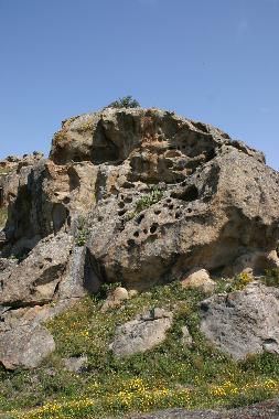 Holiday Apartment in Rodi Milici (ME) (Messina) or holiday homes and vacation rentals