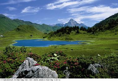 Holiday House in Riefensberg (Bludenz-Bregenzer Wald) or holiday homes and vacation rentals