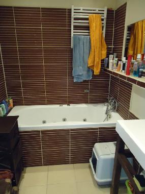 Holiday Apartment in Gdansk (Pomorskie) or holiday homes and vacation rentals