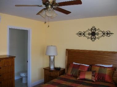 ceiling fan and dresser space for clothes