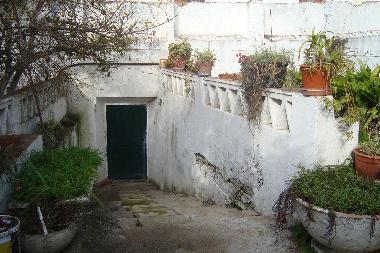 The stairs to the back entry of the house