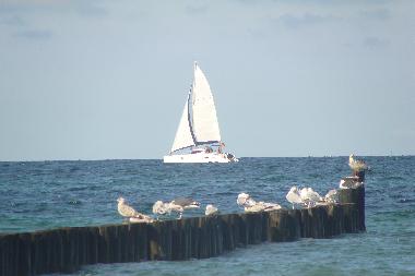 Holiday Apartment in Ostseebad Nienhagen (Mecklenburgische Ostseekste) or holiday homes and vacation rentals