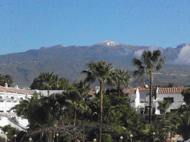 Holiday Apartment in Costa del Silencio (Teneriffa) or holiday homes and vacation rentals