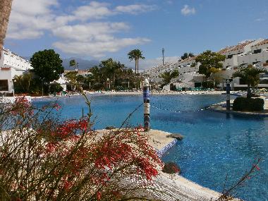 Holiday Apartment in Costa del Silencio (Teneriffa) or holiday homes and vacation rentals