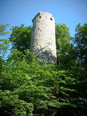 Holiday Apartment in Trusetal (Thuringian forest) or holiday homes and vacation rentals