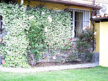 Holiday House in Imperia (Imperia) or holiday homes and vacation rentals