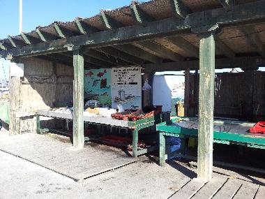 Holiday Apartment in Le Barcares (Pyr�n�es-Orientales) or holiday homes and vacation rentals