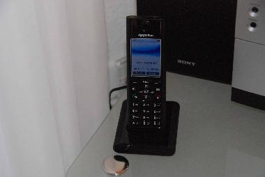 Holiday Apartment in Beatenberg (Beatenberg) or holiday homes and vacation rentals