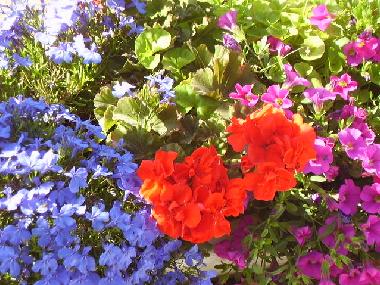 Holiday Apartment in Tel Aviv (Tel Aviv) or holiday homes and vacation rentals