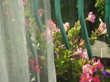Holiday Apartment in Tel Aviv (Tel Aviv) or holiday homes and vacation rentals