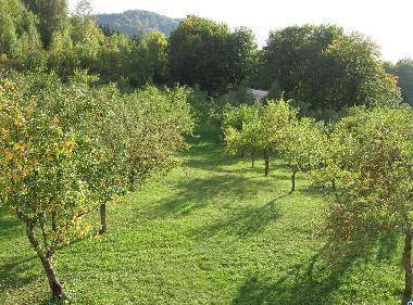 Holiday House in Kolasin (Montenegro) or holiday homes and vacation rentals