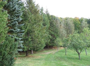 Holiday House in Kolasin (Montenegro) or holiday homes and vacation rentals