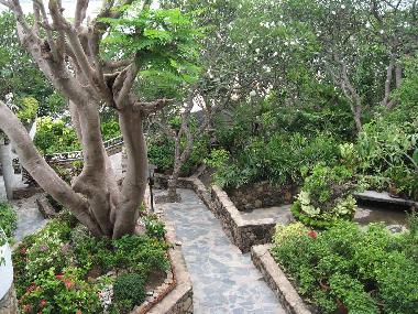 Holiday Apartment in Pattaya (Chon Buri) or holiday homes and vacation rentals