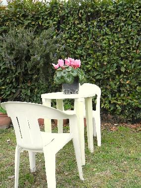 Holiday Apartment in tavarnelle val di pesa (Firenze) or holiday homes and vacation rentals