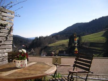 Holiday Apartment in Alpirsbach-Reinerzau (Black Forest) or holiday homes and vacation rentals