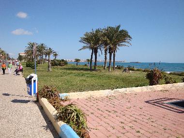 Holiday Apartment in Torrevieja (Mar Azul) (Alicante / Alacant) or holiday homes and vacation rentals