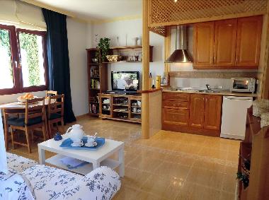 integrated kitchen, comfortable sofa-bed, HD TV...