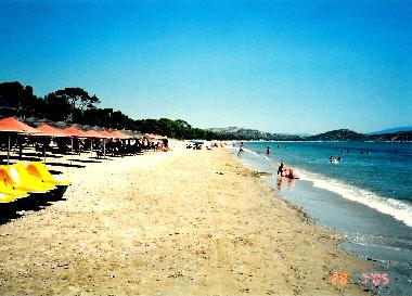 Holiday Apartment in SHINIAS (Attiki) or holiday homes and vacation rentals