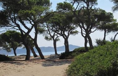 Holiday Apartment in SHINIAS (Attiki) or holiday homes and vacation rentals