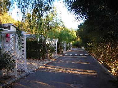 Path in the Park