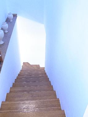 Holiday House in Rukavac (Istarska) or holiday homes and vacation rentals